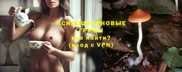 стаф Гусь-Хрустальный