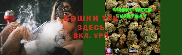 стаф Гусь-Хрустальный