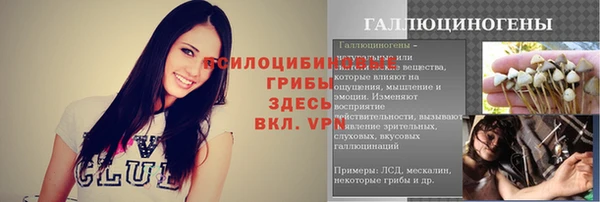 стаф Гусь-Хрустальный