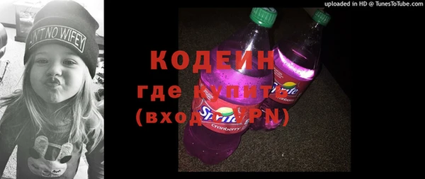 стаф Гусь-Хрустальный