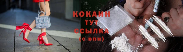 не бодяженный Гусев