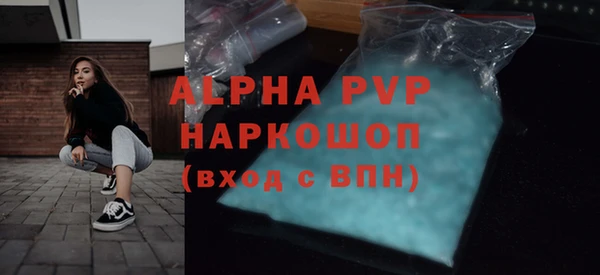 стаф Гусь-Хрустальный