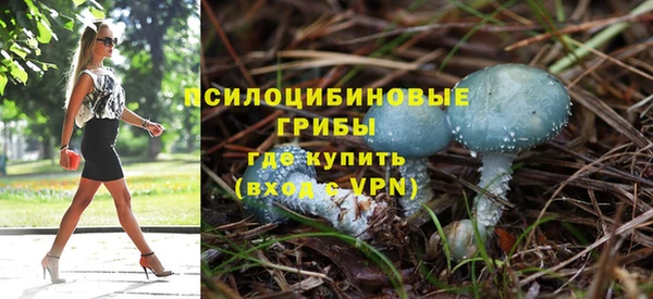 не бодяженный Гусев