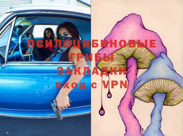 мескалин Гусиноозёрск