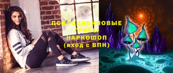 стаф Гусь-Хрустальный