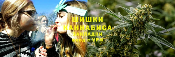 не бодяженный Гусев