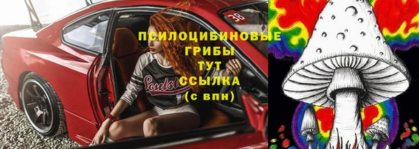не бодяженный Гусев