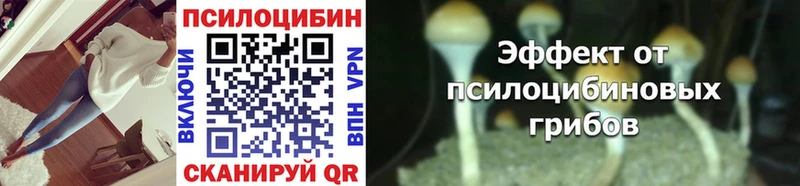 Купить закладки  Саянск  Галлюциногенные грибы мицелий 